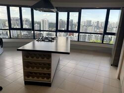 The Draycott (D10), Apartment #496593131
